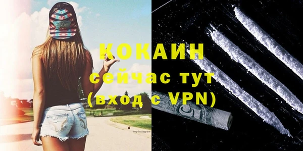 дживик Абаза